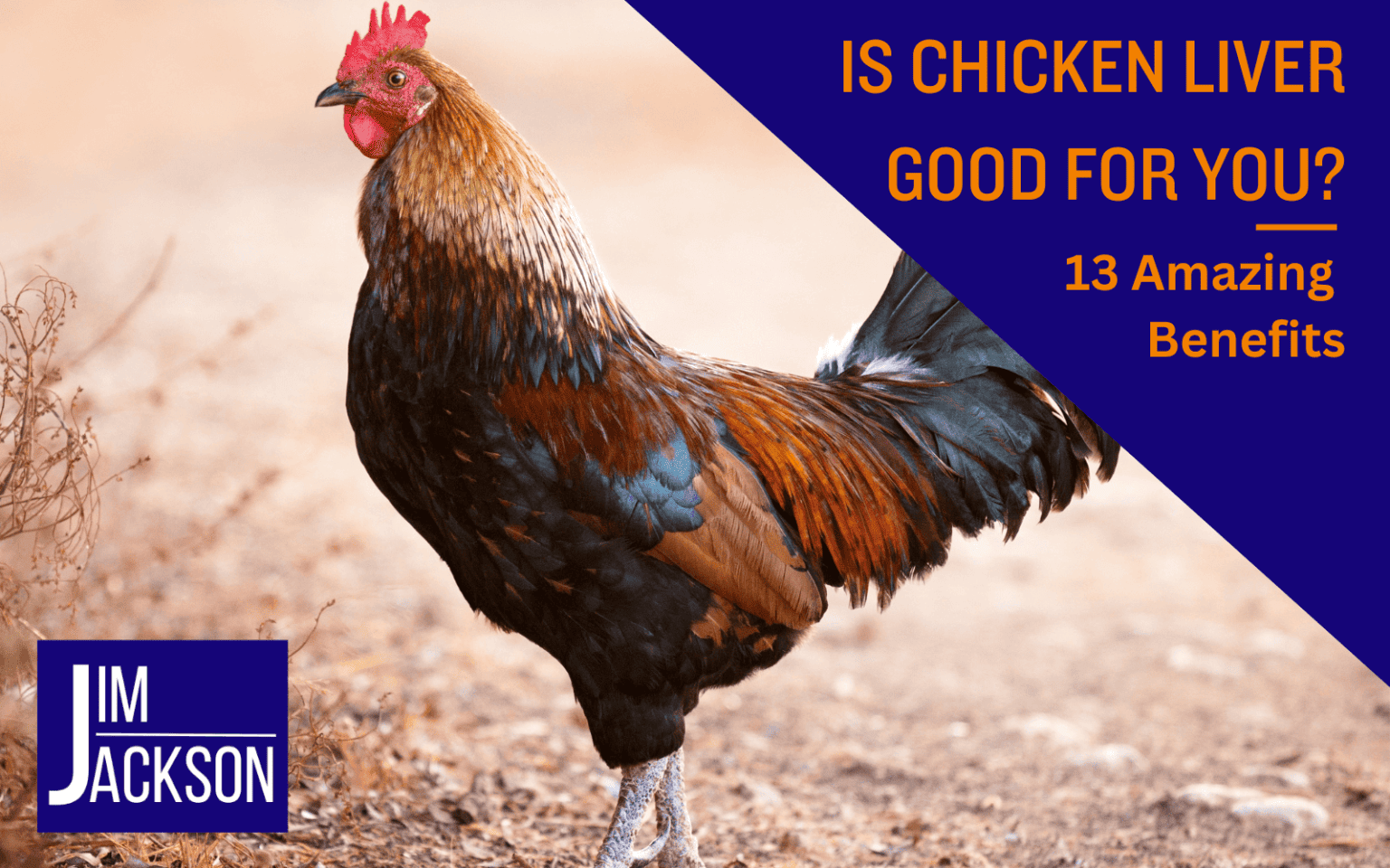 Is Chicken Liver Good For You? 13 Amazing Benefits