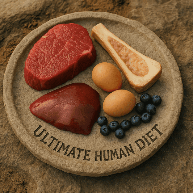 A stone plate of meat, liver, eggs, mone marrow and blueberries depicting the ultimate human diet