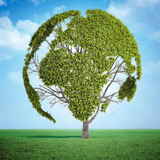 A tree with the branches and leaves in the shape of the earth depicting Is Eating Less Meat Better for the Environment?