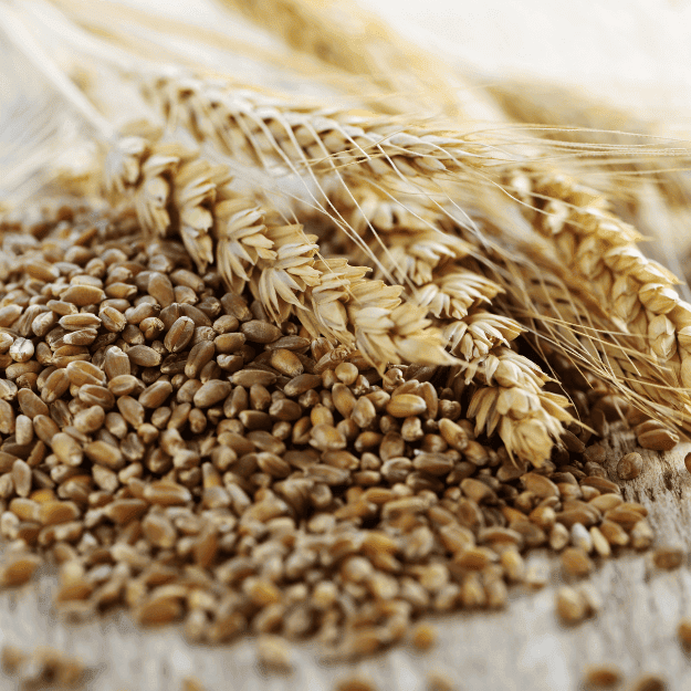 Some grains