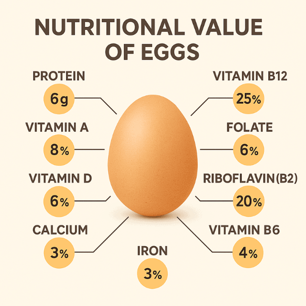 An infographic of the nutritional value of an egg