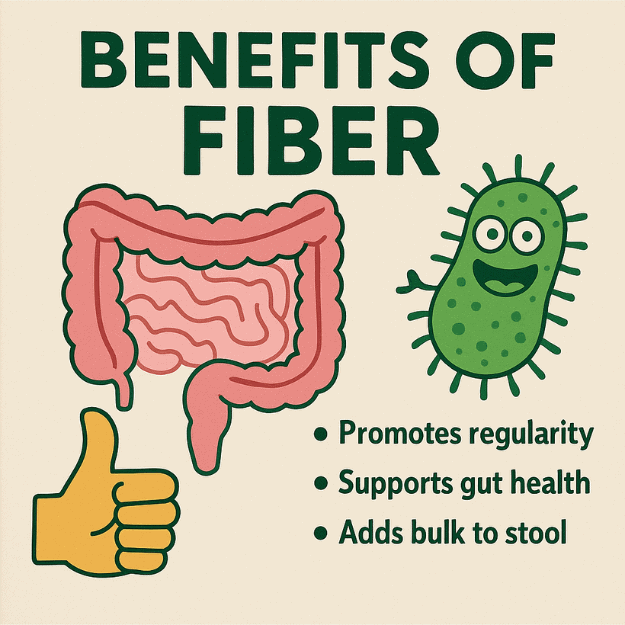 An illustration of the supposed benefits of fiber in the human diet
