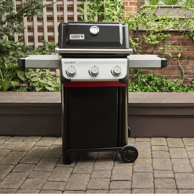 Weber Spirit E-310 