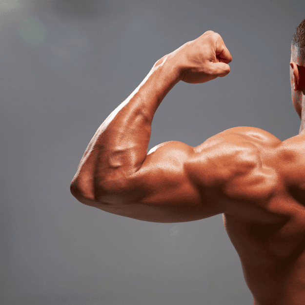 A muscular man's arm flexing his bicep depicting the protein benefits of eating eggs