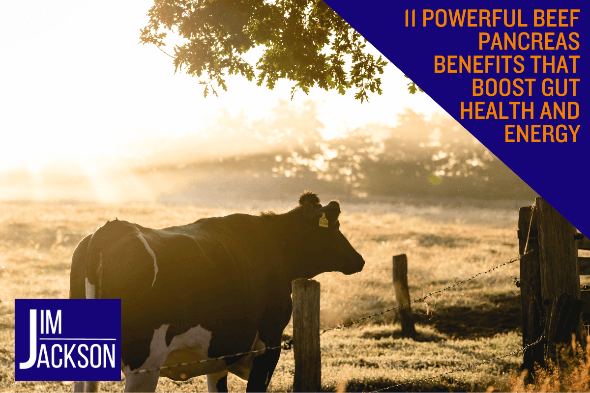 a cow in a field with the bright sun in the background and the words the Beef Pancreas Benefits