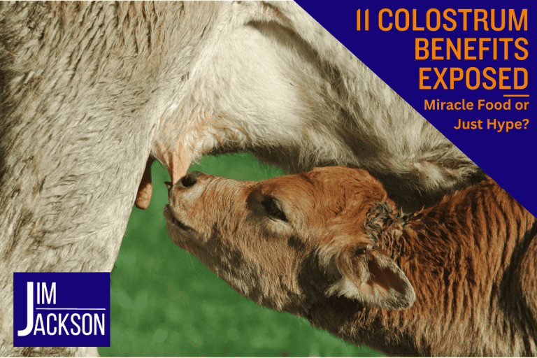 A calf suckling its mothers teat depicting the colostrum benefits